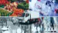 Learn more about our Perishable Cargo logistics.