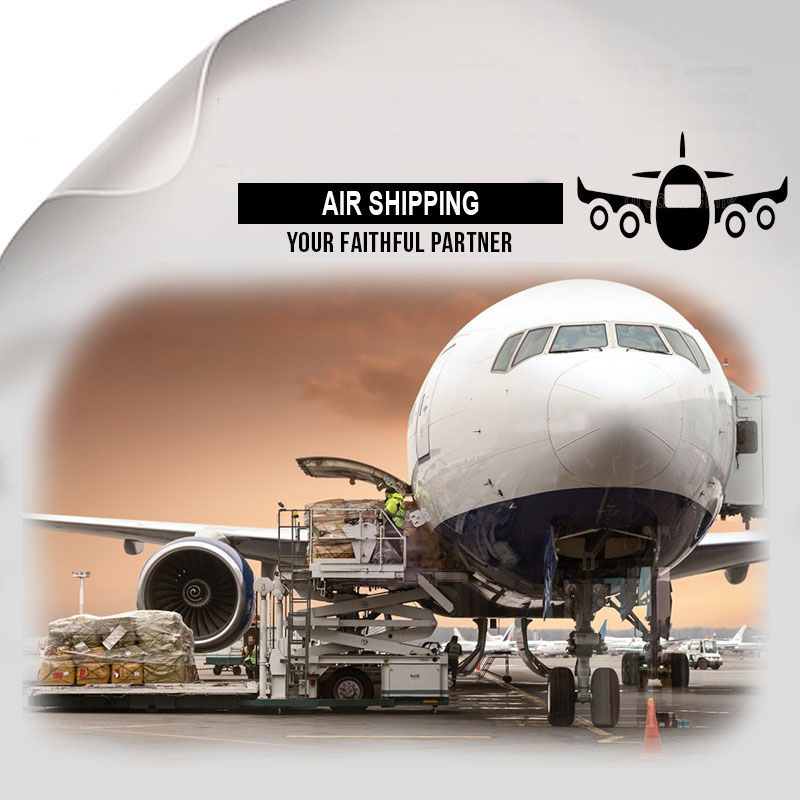 Professional International Freight Forwarder Company!